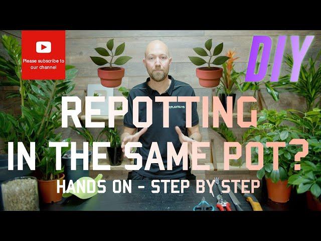 Repotting in the same pot 🪴? DIY