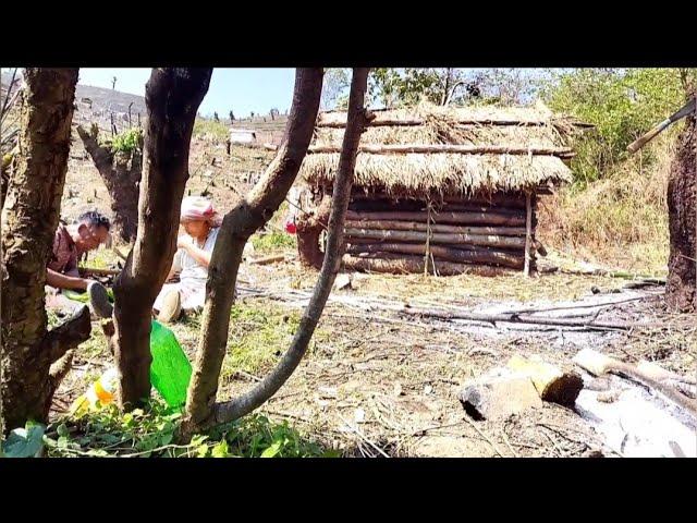 How to build a field shelter in 3 HOUR