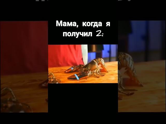 мама когда я получил 2 .#врек #shorts #vanzai