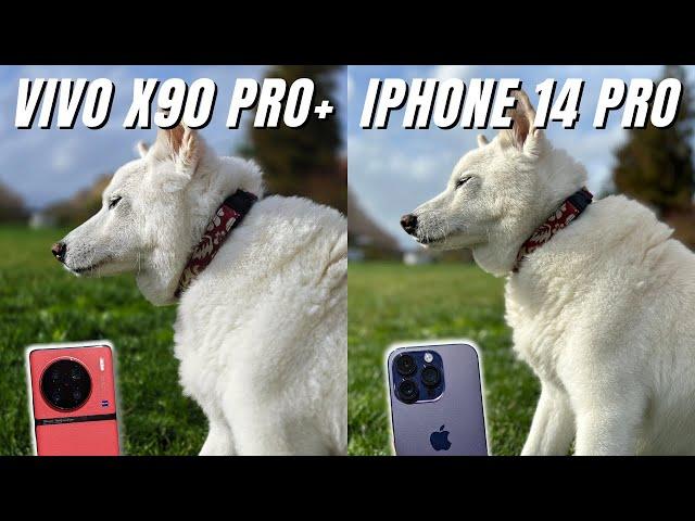 Vivo X90 Pro Plus vs iPhone 14 Pro Camera Comparison