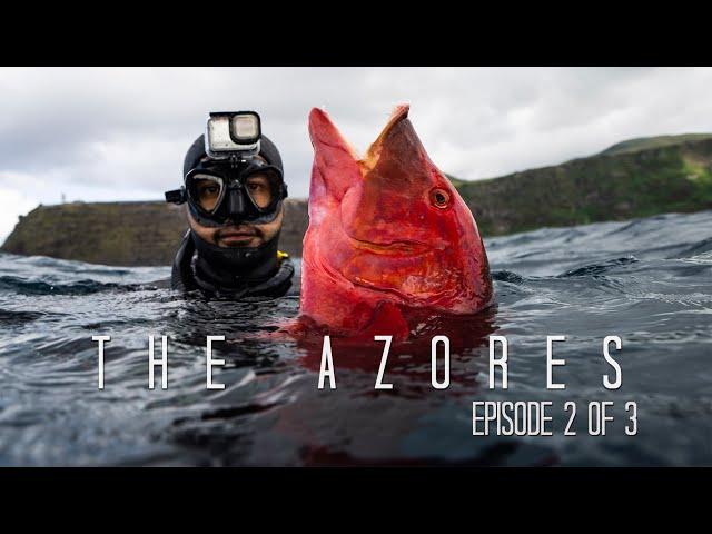 Spearfishing Giant Hogfish in the Middle of the Atlantic! Insane Caves & Fishing Rainbow Trouts!