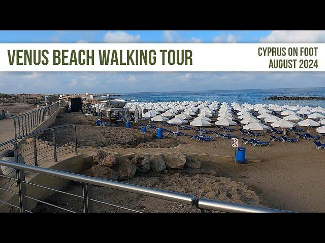 Venus Beach Walking Tour