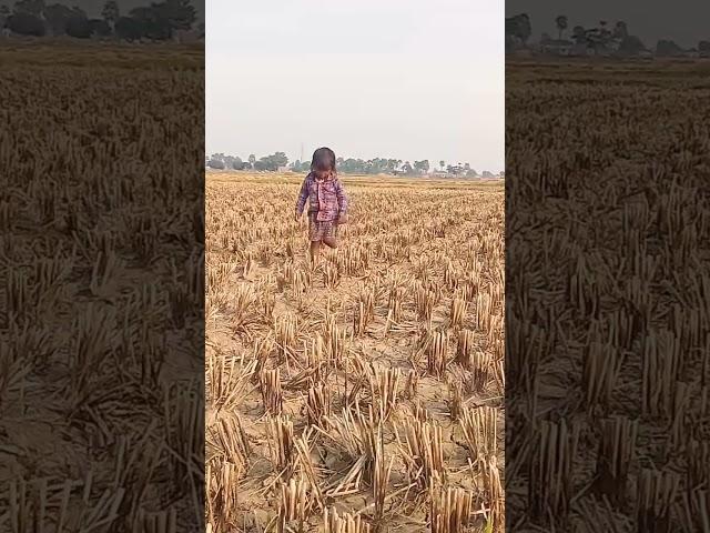 Bishal Kumar 8090
