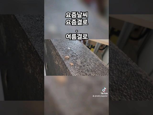 요즘같은 날씨에도 결로가 생긴다 #곰팡이제거 #인테리어 #단열시공