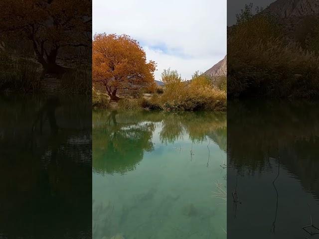 طبیعت زیبای استان فارس   #nature#ponds #plain #iran