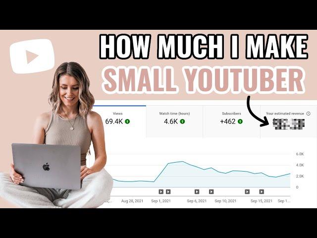 How Much MONEY I Make as a SMALL Youtuber | First Youtube Paycheck? How Much Do Small Channels Make?