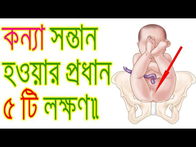 যে ৫ টি লক্ষণ দেখলে বুজবেন আপনার গর্ভে কন্যা সন্তান রয়েছে। How to Know the Girl Child in the Womb.