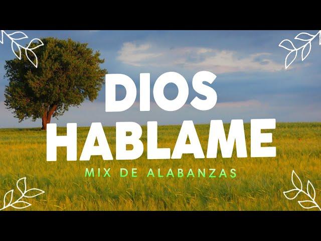 Alabanzas que quebrantan el Corazon - Himnos Cristianos - Musica Cristiana Mix 2024