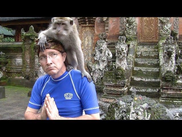 Bali: Sacred Monkey Forest