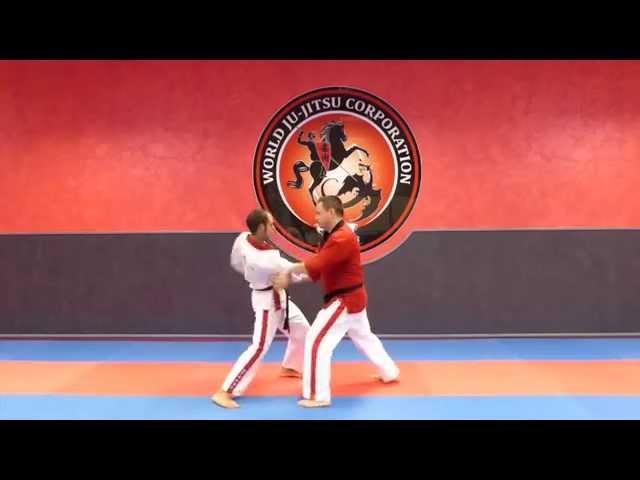 JU-JITSU - WORLD JU-JITSU CORPORATION Shodai Soke Adriano Busà