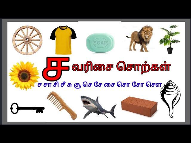 உயிர்மெய் எழுத்து_ ச வரிசை சொற்கள்/ச சா சி சீ ...சௌ வரிசை சொற்கள்/tamil words starting with cha