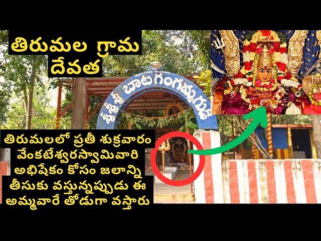 Uncovering the Hidden History of Gangamma Temple: Ancient Secrets of Tirumala Revealed!