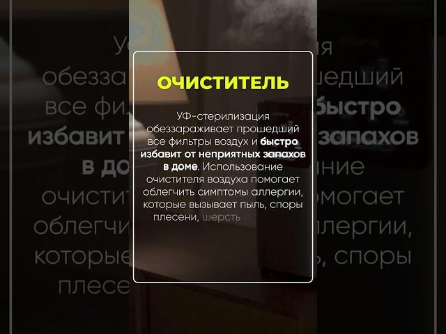 Очиститель VS Увлажнитель воздуха