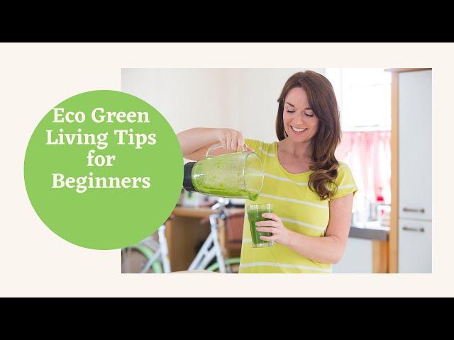 Eco green living tips for beginners