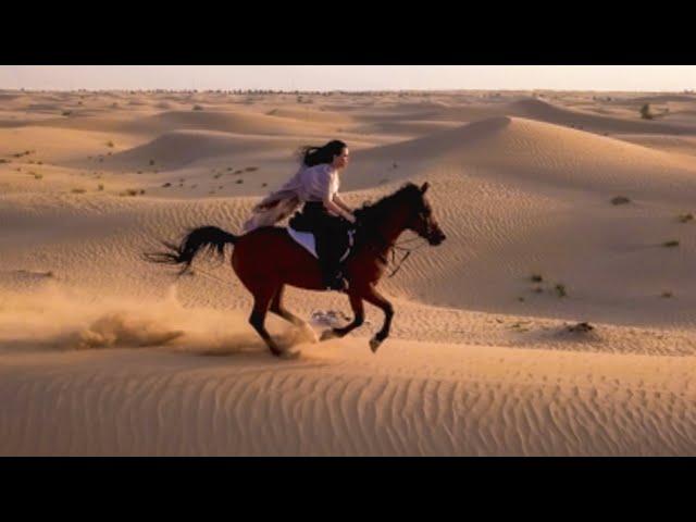 Riding Horses in Dubai's Desert