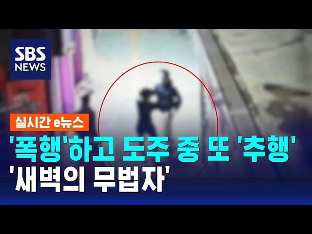 '폭행'하고 도주하면서 또 '추행' 범행…'새벽의 무법자' / SBS / 실시간 e뉴스