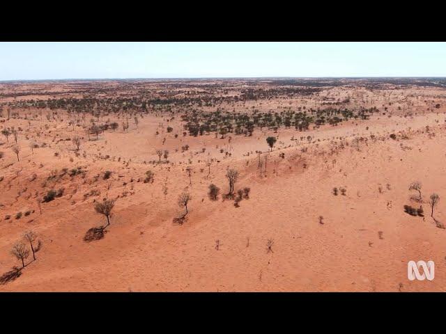 Desert and semi arid landscapes