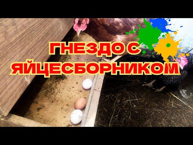 Гнездо с яйце сборником из старой тумбочки.