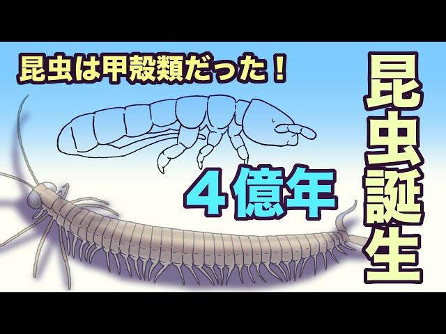 昆虫誕生　４億年　昆虫は甲殻類だった！　地球の歴史　その３９　最初の昆虫化石から、昆虫・甲殻類起源説を語ります