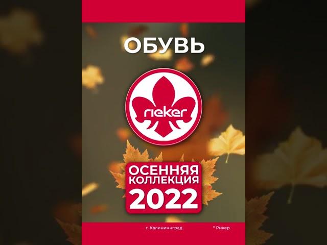 Рикер. Осенняя коллекция
