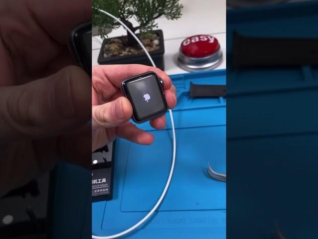 BOOTLOOPING Apple Watch - What's the fix? #Shorts