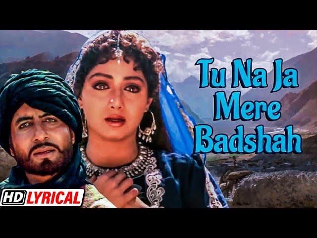 Tu Na Jaa Mere Baadshah - Sad Love Hit | Khuda Gawah | Amitabh Bachchan & Sridevi | Alka & Mohammad