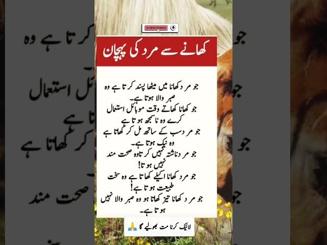 mard ki pechan kasy kren mufeed malomaat | Urdu Golden Quotes Urdu Quotes #shorts