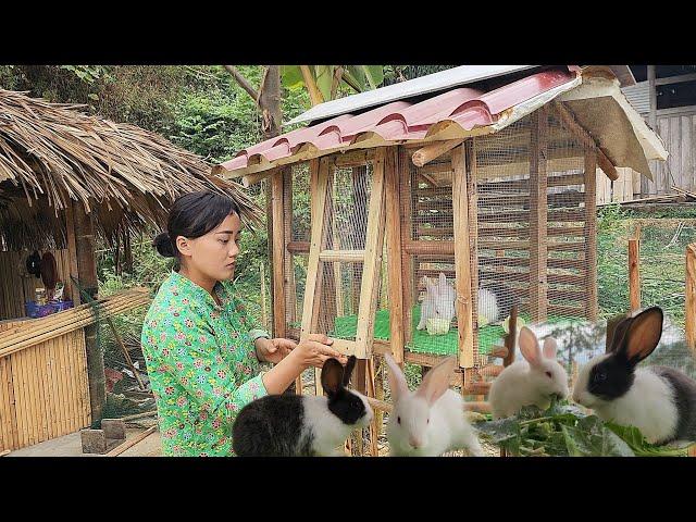 17 year old single mother builds rabbit cages and builds a farm daily life - ly nha hien