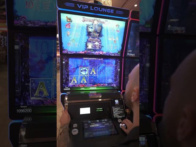 Дельфины На Удачу! Призовая в Dolphins Pearl Deluxe