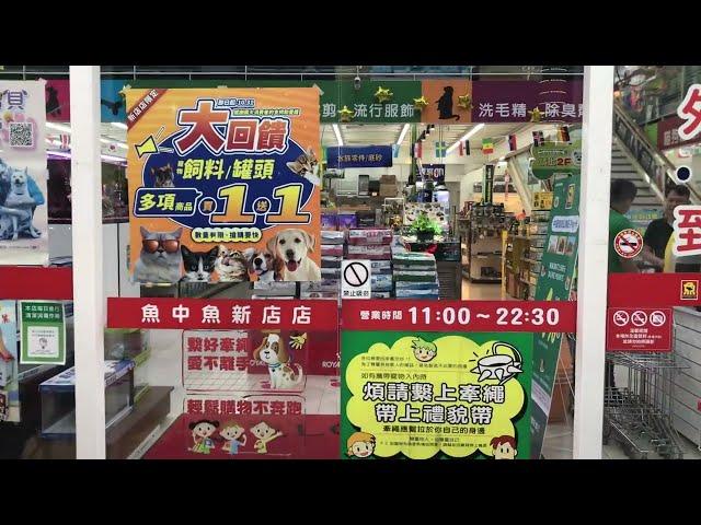 2024-10-27 新北/新店/中正路「魚中魚 貓狗寵物 / 水族大賣場」x 消費滿千 撈魚趣