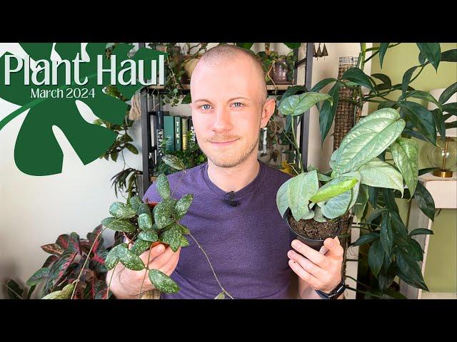 Plant Haul | March 2024