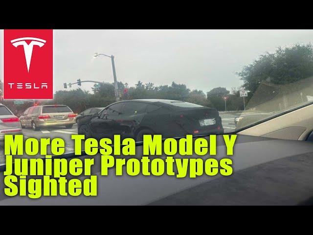 More Tesla Model Y Juniper Prototypes Sighted