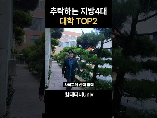 추락하는 지방 명문 대학교 TOP2(상위권 지방4대 사학)