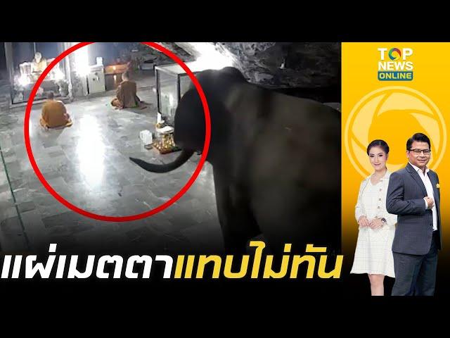 ทำวัตรเช้าเกือบขิต "พระคุณเจ้า" มีสะดุ้ง "ช้างป่า" แอบย่องมาถึงวัดขณะสวดสวดมนต์ วงแตกทันตาเห็น