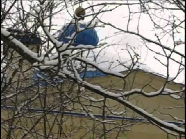 Дмитрий Смоленков 2009 Девушка пела в церковном хоре
