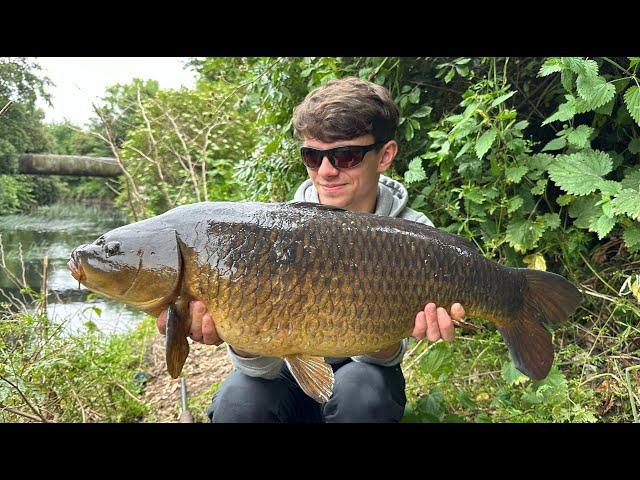 STALKING FOR CARP on a small London river