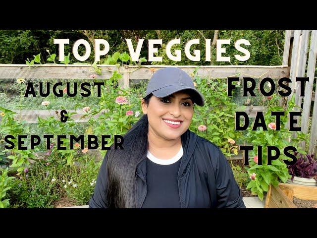 Top Veggies to Plant in August & September | Frost Date Tips!