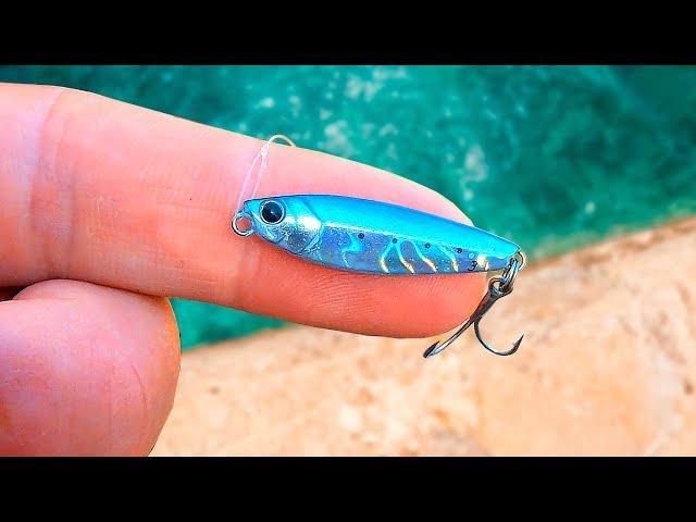 The World's Smallest Metal Jig (Micro-Fishing)