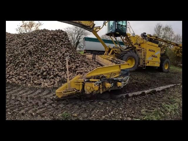 Jørgen Jorddyrker S:2023 EP:42 Levering af de første sukkerroer