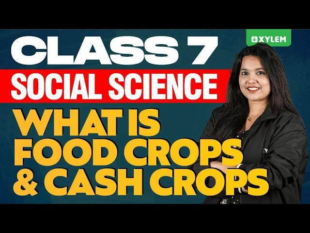 Class 7 Social Science - What Is Food Crops & Cash Crops | Xylem Class 7