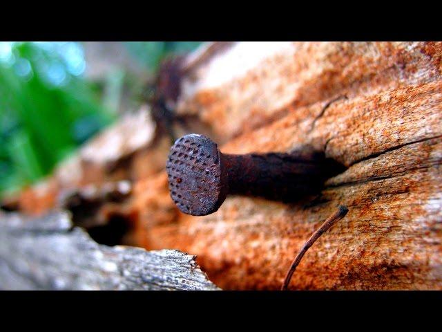 Сонник Миллера - Сны на букву "Г" - часть 1