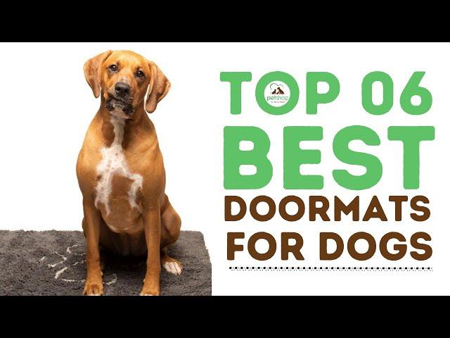 Top Best Doormats For Dogs