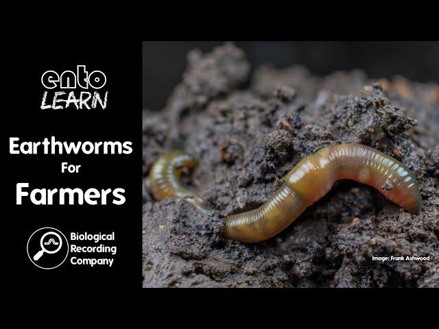 Earthworms For Farmers