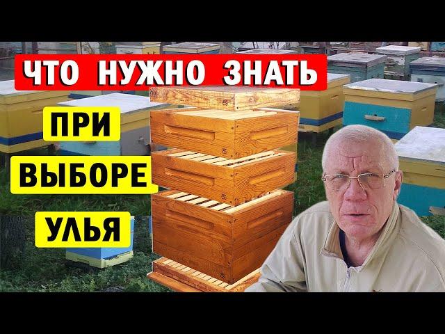 Какой улей выбрать? Правильный Выбор Улья - Главный Ключ к Успеху в Пчеловодстве!