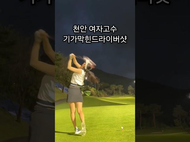 2024 최고의 샷