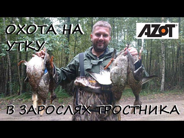 Охота на утку в зарослях тростника