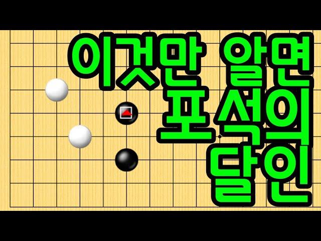 baduk school 바둑스쿨/ 바둑강좌 / 이것만 알면 당신도 포석의 달인!