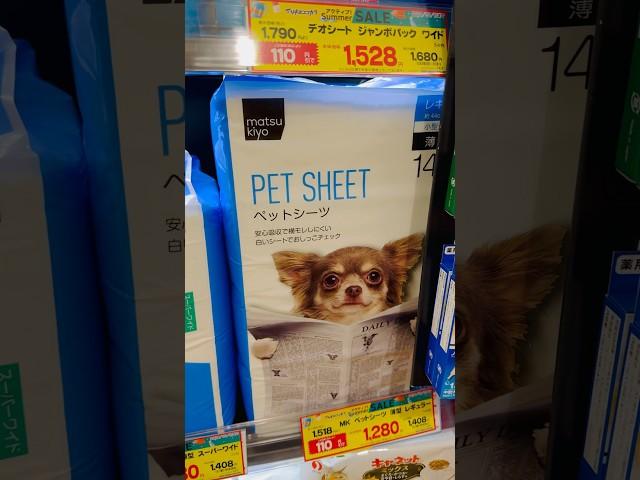 Japanese Pet Sheet Packs  #japanese #fun #shorts #funpackage