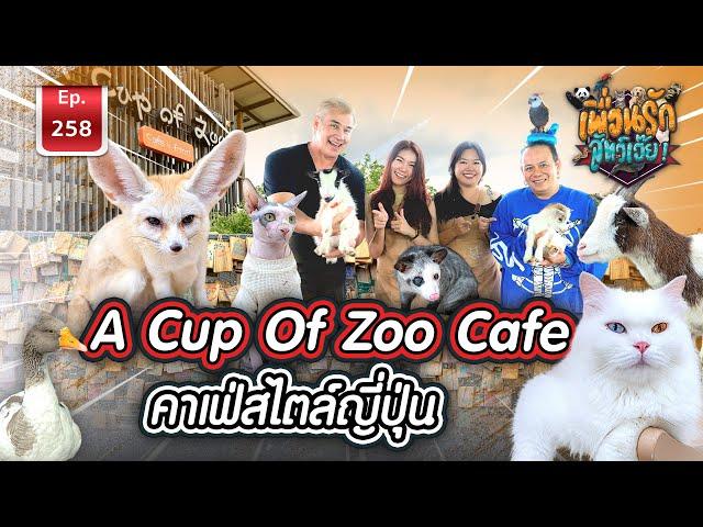 A Cup of Zoo Cafe คาเฟ่สไตล์ญี่ปุ่น I เพื่อนรักสัตว์เอ๊ย Ep.258