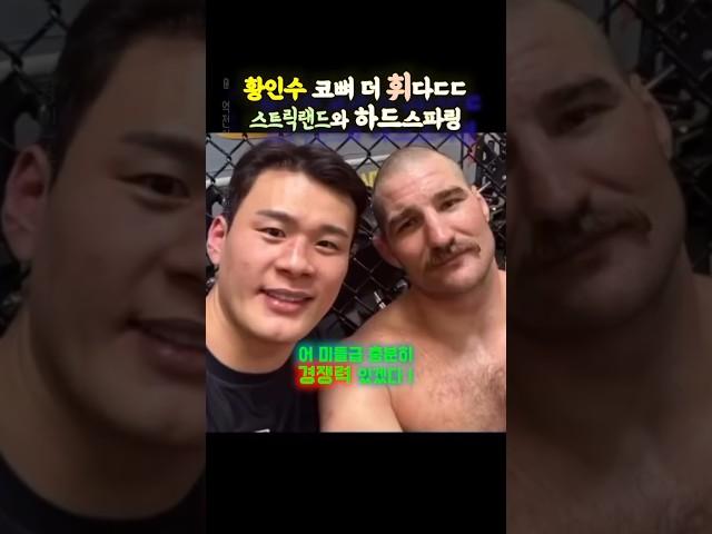 황인수 코뼈 더 휘다 ㄷㄷ 션스트릭랜드와 하드 스파링(ft.김동현, 고석현)
